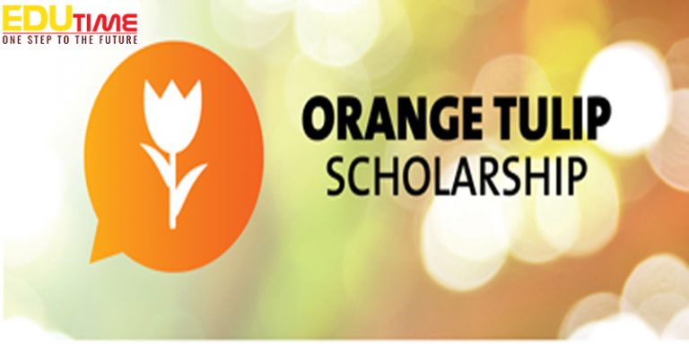 Hỏi – đáp về học bổng OTS – Orange Tulip Scholarship